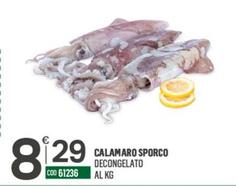 Offerta per Calamaro Sporco a 8,29€ in Tutto Risparmio Cash&Carry