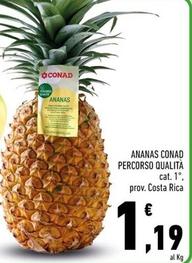 Offerta per  Conad - Ananas Percorso Qualità  a 1,19€ in Conad