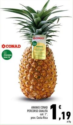 Offerta per Conad - Ananas Percorso Qualita a 1,19€ in Conad City