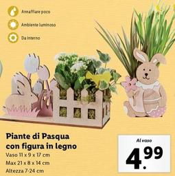 Offerta per Piante Di Pasqua Con Figura In Legno a 4,99€ in Lidl