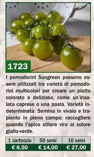 Offerta per Pomodoro Hy F1 Sungreen a 8,5€ in Ingegnoli