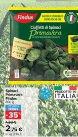Offerta per Findus - Spinaci Primavera a 2,75€ in Carrefour Market