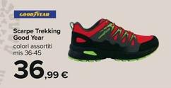 Offerta per Scarpe Trekking Good Year a 36,99€ in Carrefour Ipermercati