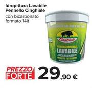 Offerta per Pennelli Cinghiale - Idropittura Lavabile Pennello a 29,9€ in Carrefour Ipermercati