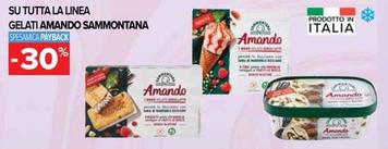 Offerta per Sammontana - Su Tutta La Linea Gelati Amando in Carrefour Ipermercati