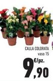 Offerta per Calla Colorata a 9,9€ in Conad Superstore