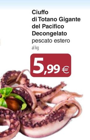 Offerta per Ciuffo Di Totano Gigante Del Pacifico Decongelato Pescato Estero a 5,99€ in Docks Market