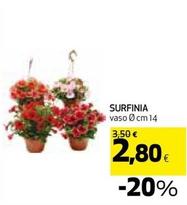 Offerta per Surfinia a 2,8€ in Coop
