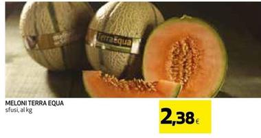 Offerta per Terra Equa - Meloni a 2,38€ in Ipercoop