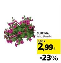 Offerta per Surfinia a 2,99€ in Ipercoop
