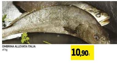 Offerta per Ombrina Allevata Italia a 10,9€ in Ipercoop