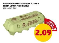 Offerta per Uova Da Galline Allevate A Terra Senza Uso Di Antibiotici a 2,09€ in PENNY