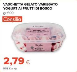 Offerta per Consilia - Vaschetta Gelato Variegato Yogurt Ai Frutti Di Bosco a 2,79€ in Tigre