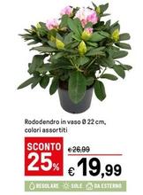 Offerta per Rododendro a 19,99€ in Iper La grande i