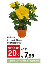 Offerta per Hibiscus a 7,99€ in Iper La grande i
