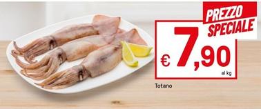 Offerta per Totano a 7,9€ in Iper La grande i
