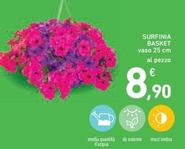 Offerta per Surfinia Basket a 8,9€ in Spazio Conad