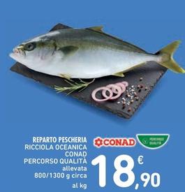 Offerta per  Conad - Ricciola Oceanica Percorso Qualità  a 18,9€ in Spazio Conad