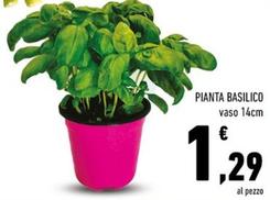 Offerta per Pianta Basilico a 1,29€ in Conad Superstore