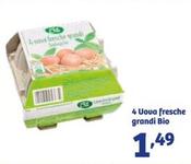 Offerta per Bio - 4 Uova Fresche Grandi  a 1,49€ in IN'S