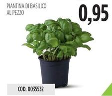 Offerta per Piantina Di Basilico a 0,95€ in Carico Cash & Carry