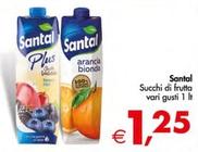 Offerta per Santal - Succhi Di Frutta a 1,25€ in Decò