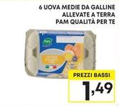 Offerta per Pam - 6 Uova Medie Da Galline Allevate A Terra Qualità Per Te a 1,49€ in Pam