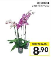 Offerta per Orchidee a 8,9€ in Pam