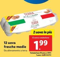 Offerta per 12 Uova Fresche Medie a 1,99€ in Lidl