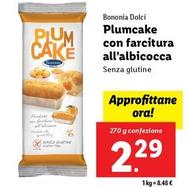 Offerta per Bononia Dolci - Plumcake Con Farcitura All'Albicocca a 2,29€ in Lidl