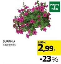 Offerta per Surfinia a 2,99€ in Coop