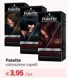 Offerta per Palette - Colorazione Capelli a 3,95€ in Acqua & Sapone