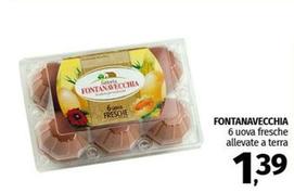 Offerta per Fattoria Fontanavecchia - 6 Uova Fresche Allevate A Terra a 1,39€ in Pam RetailPro