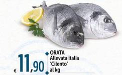 Offerta per Orata Allevata Italia 'Cilento' a 11,9€ in Carrefour Market