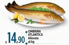 Offerta per Pesce a 14,9€ in Carrefour Market