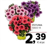 Offerta per Piante a 2,39€ in Todis