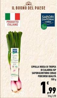 Offerta per Conad - Cipolla Rossa Di Tropea Di Calabria IGP Sapori&Dintorni Percorso Qualità a 1,99€ in Conad Superstore