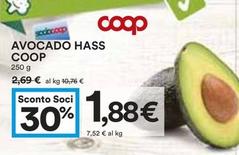 Offerta per Coop - Avocado Hass a 1,88€ in Coop