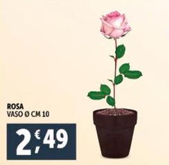 Offerta per Rosa a 2,49€ in Decò