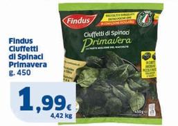 Offerta per Findus - Ciuffetti Di Spinaci Primavera a 1,99€ in Sigma