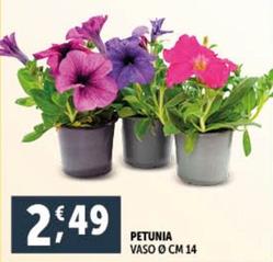 Offerta per Petunia a 2,49€ in Decò