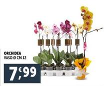 Offerta per Orchidea a 7,99€ in Decò
