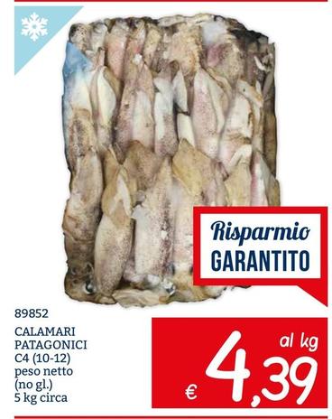 Offerta per Calamari Patagonici a 4,39€ in ZONA
