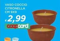 Offerta per Citronella - Vaso Coccio a 2,99€ in Ipercoop