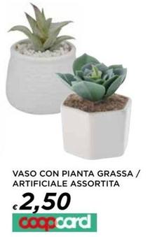 Offerta per Vaso Con Pianta Grassa / Artificiale a 2,5€ in Ipercoop