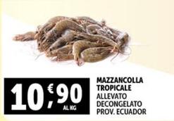 Offerta per Mazzancolla Tropicale a 10,9€ in Decò