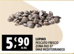 Offerta per Lupino a 5,9€ in Decò