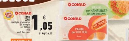 Offerta per Conad - Panini a 1,05€ in Conad