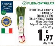 Offerta per Conad - Sapori&Dintorni Cipolla Rossa Di Tropea Calabria IGP Percorso Qualità a 1,97€ in Conad