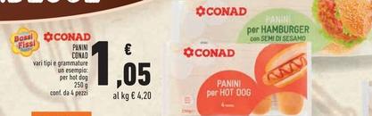 Offerta per Conad - Panini a 1,05€ in Conad